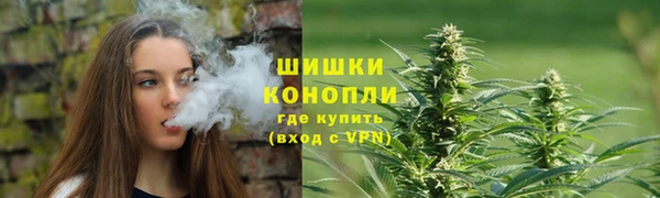СК Пересвет