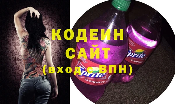 СК Пересвет