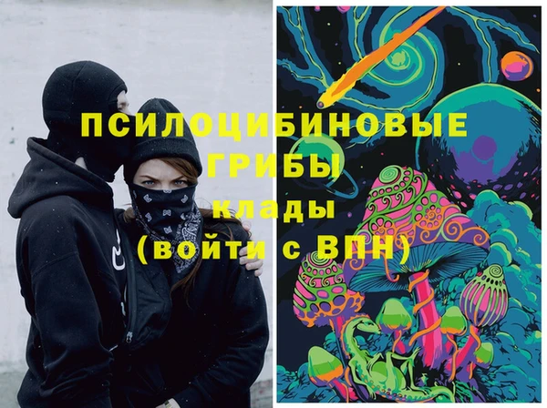 мдпв Переславль-Залесский