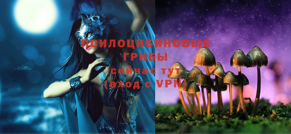 мдпв Переславль-Залесский